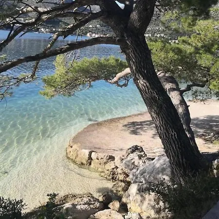 Luxury Blue Moon - New Apartman