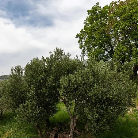 Luxury Blue Moon - New * Slano