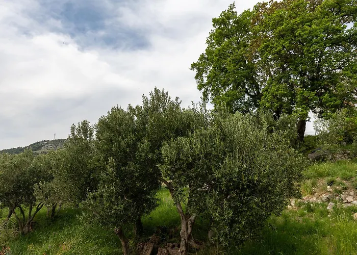 Luxury Blue Moon - New * Slano